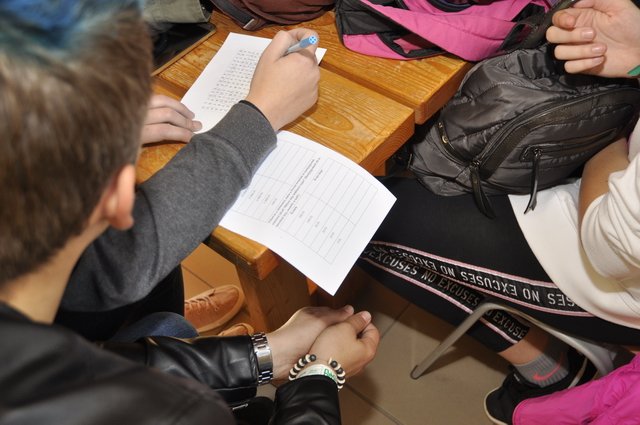 Csibetábor az Aranyban 31